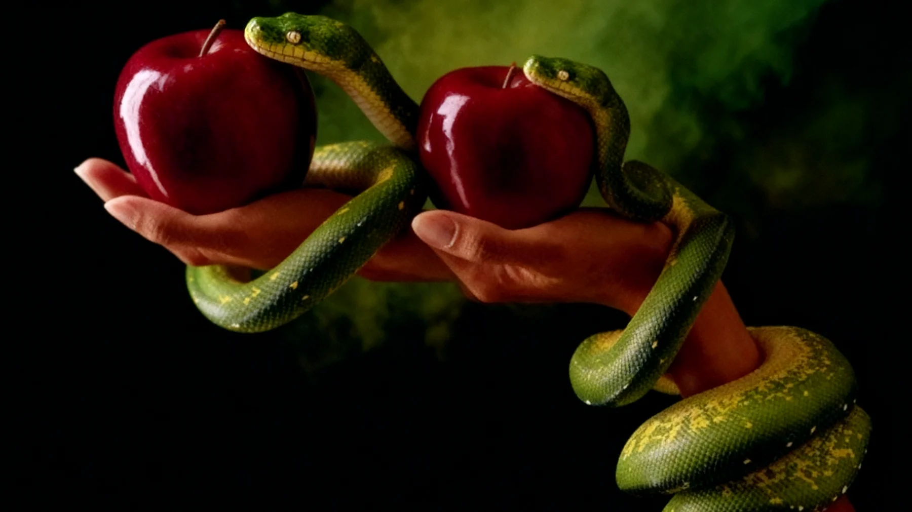 Forbidden Fruit2025-12-28T18:56:17.397Z"