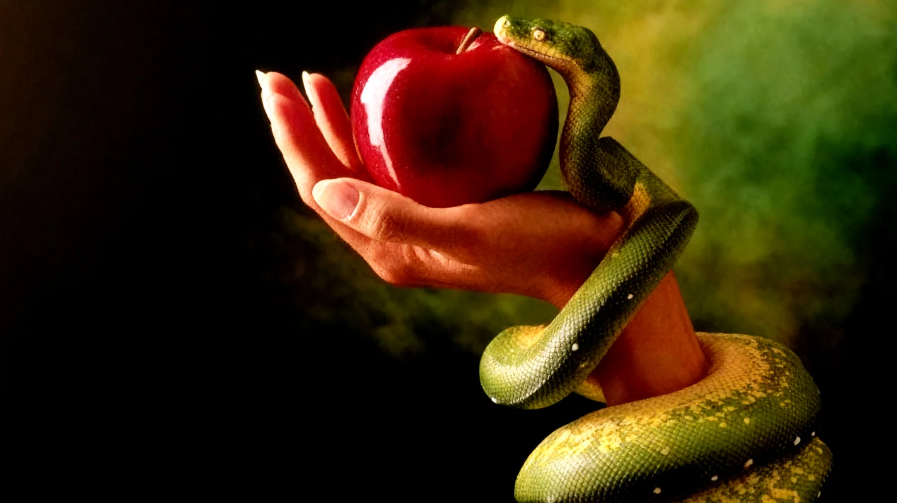 Forbidden Fruit2025-12-29T18:57:53.530Z"