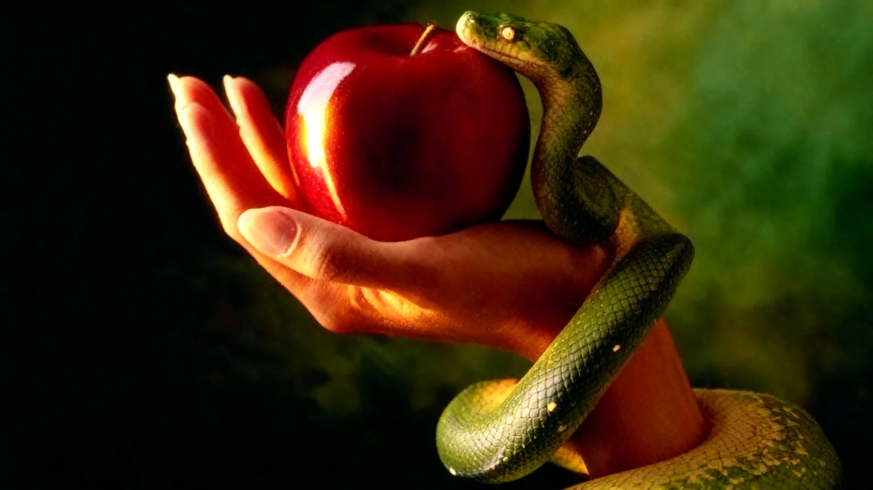 Forbidden Fruit2025-12-30T18:56:05.830Z"