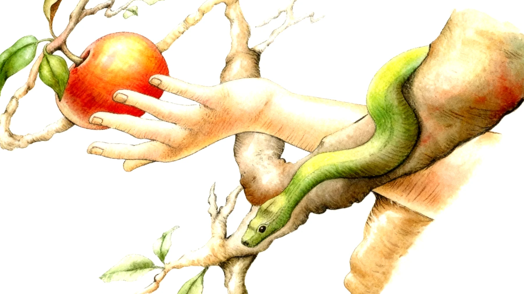 Forbidden Fruit2026-01-03T18:51:26.642Z"